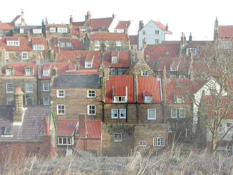 Picture of Birkby Cottage amongst its neighbours